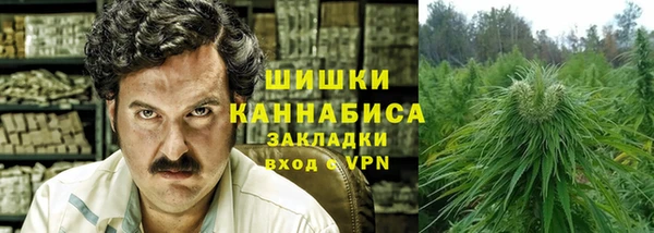 дмт Алзамай
