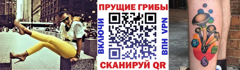 дарнет шоп  Шуя  Галлюциногенные грибы мухоморы 