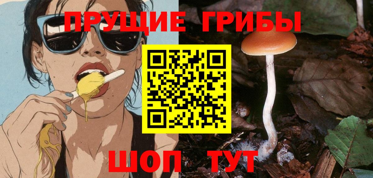 Псилоцибиновые грибы Psilocybe  Вход с VPN  Галлюциногенные грибы Magic Shrooms  Шуя 
